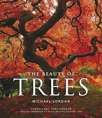 the beauty of trees. by michael jordan cover image