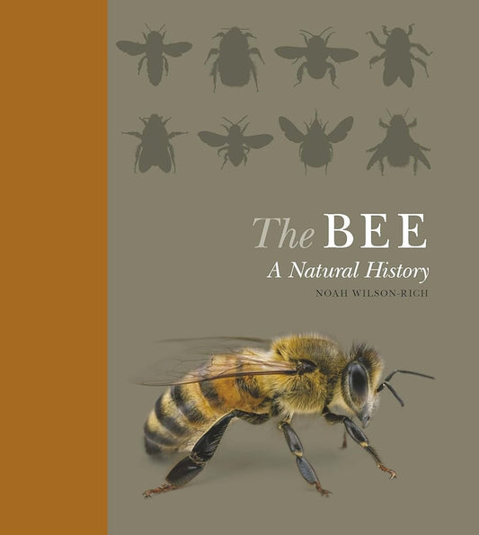 The Bee: A Natural History cover image