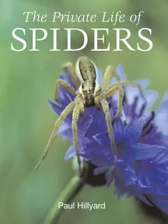 Private Life of Spiders cover image