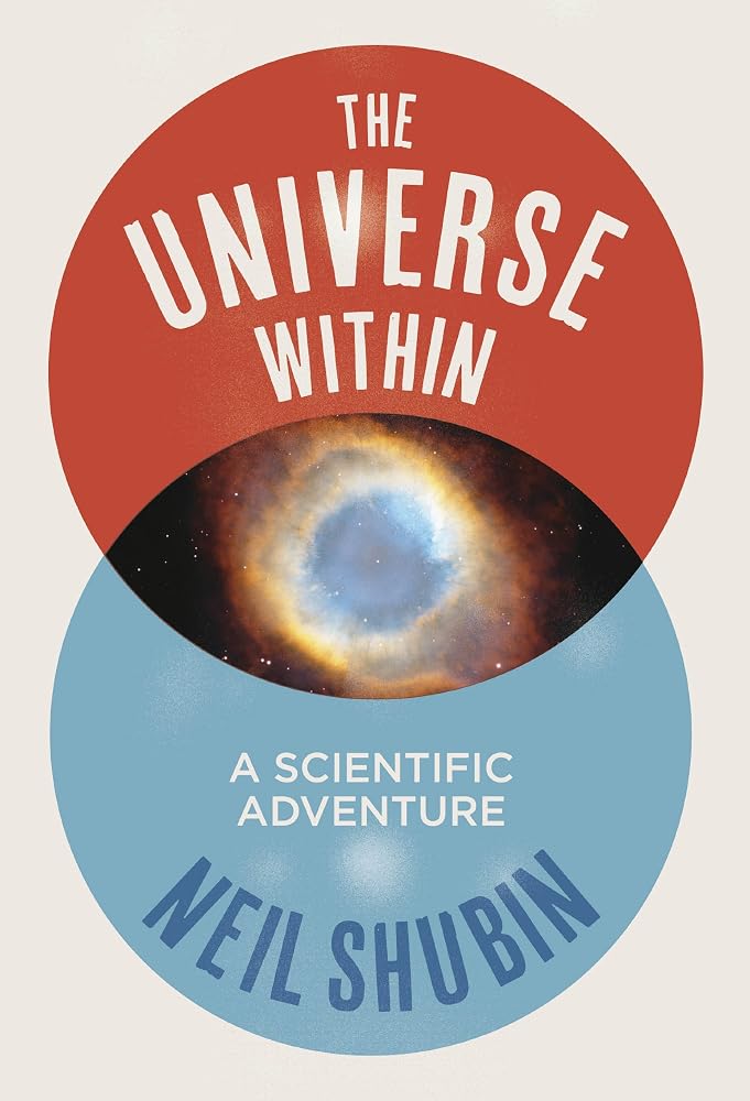Universe Within: A Scientific Adventure, The cover image