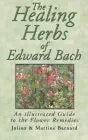 The Healing Herbs of Edward Bach: An Illustrated Guide to the Flower Remedies cover image