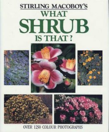 What Shrub Is That?