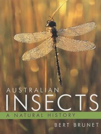 Australian Insects: A Natural History cover image