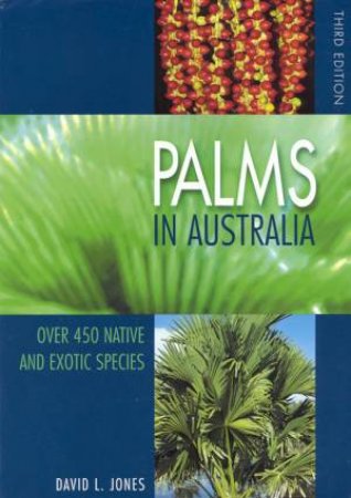 Palms in Australia