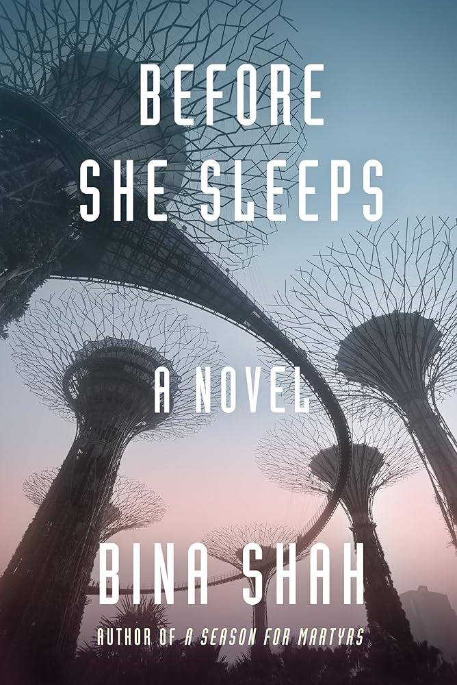 Before She Sleeps cover image