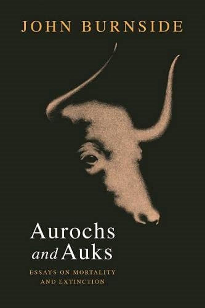 Aurochs and Auks: Essays on mortality and extinction cover image