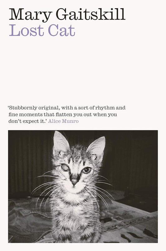 Lost Cat cover image