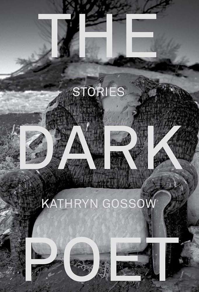 The Dark Poet cover image