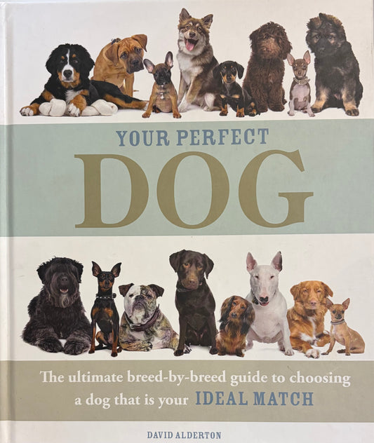 Your Perfect Dog