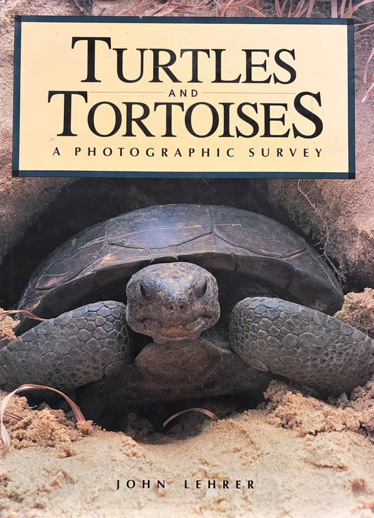 Turtles and Tortoises: A Photographic Survey