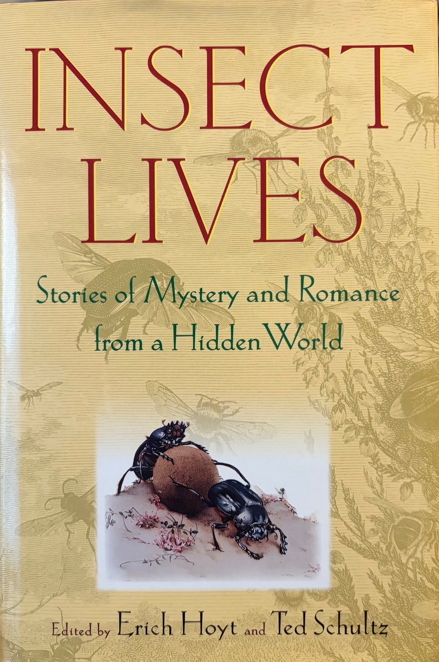 Insect Lives: Stories of Mystery and Romance from a Hidden World