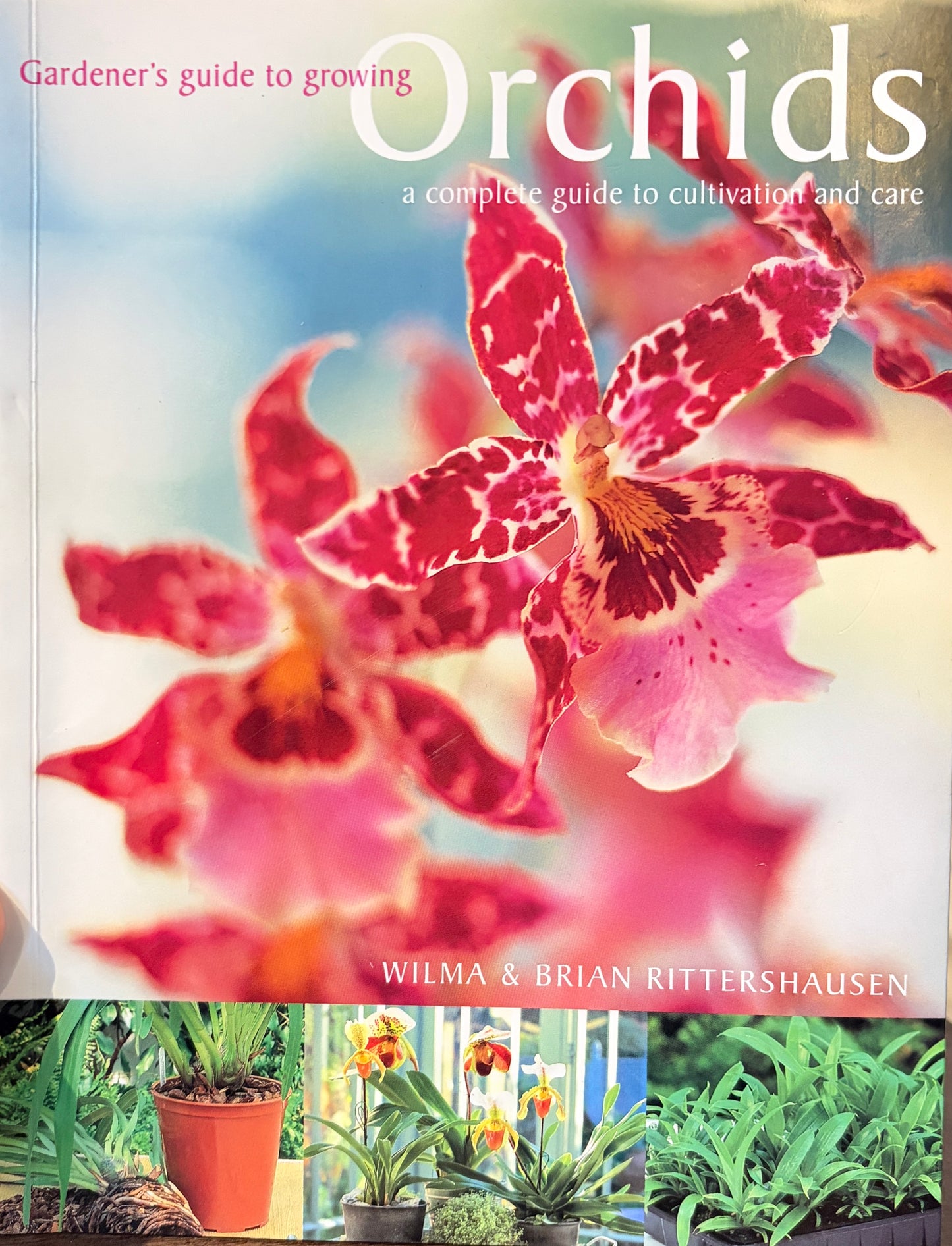 Orchids