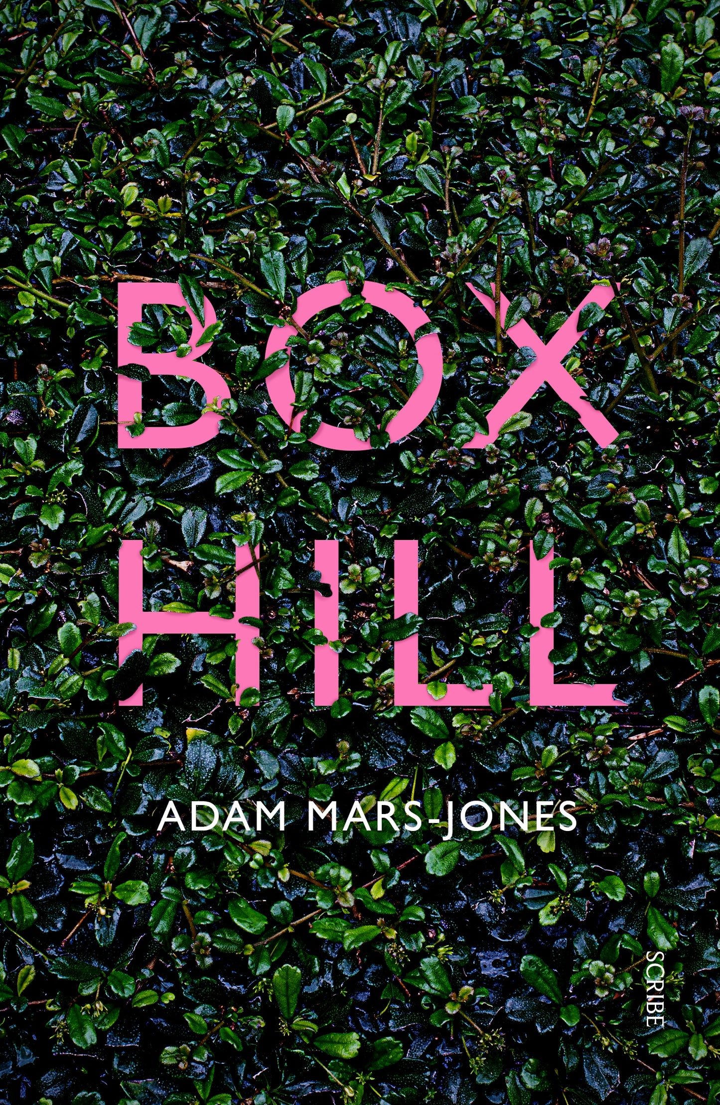 Box Hill: A story of low self-esteem
