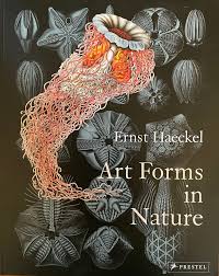 Art Forms in Nature: The Prints of Ernst Haeckel