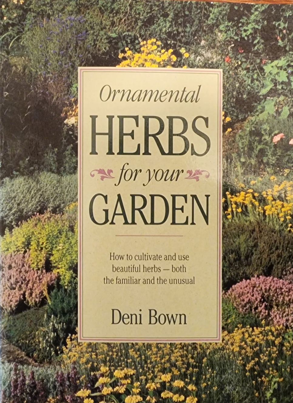 Ornamental Herbs for Your Garden
