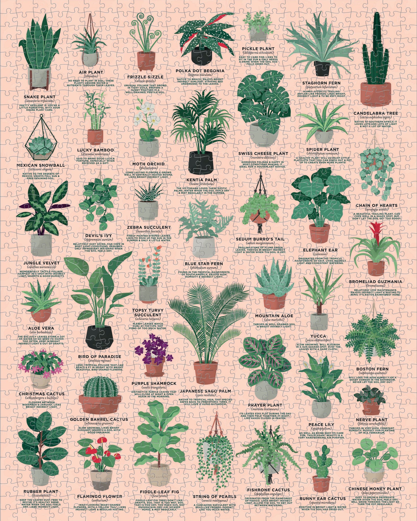 House of Plants jigsaw (1,000 pieces)