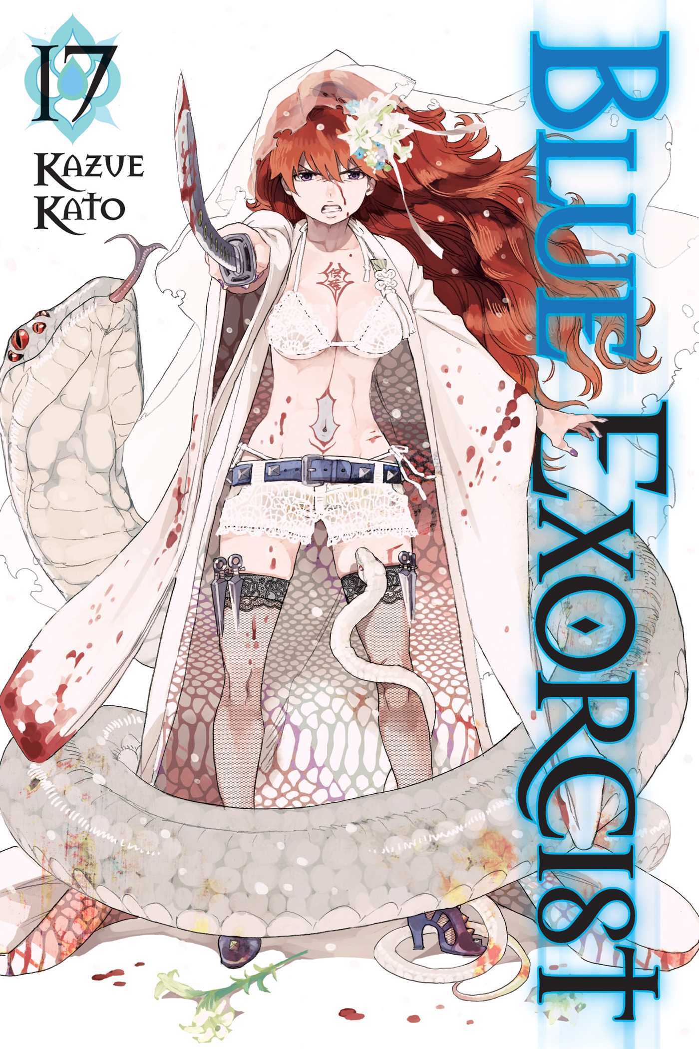 Blue Exorcist (Vol 17)