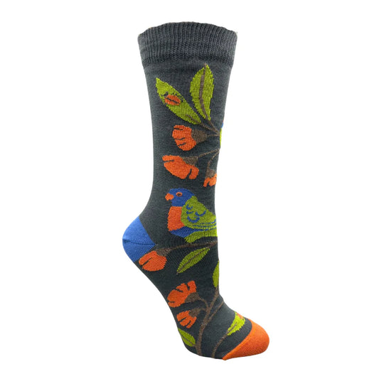 Rainbow Lorikeet socks