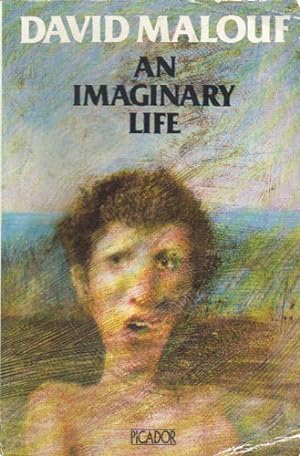 An Imaginary Life