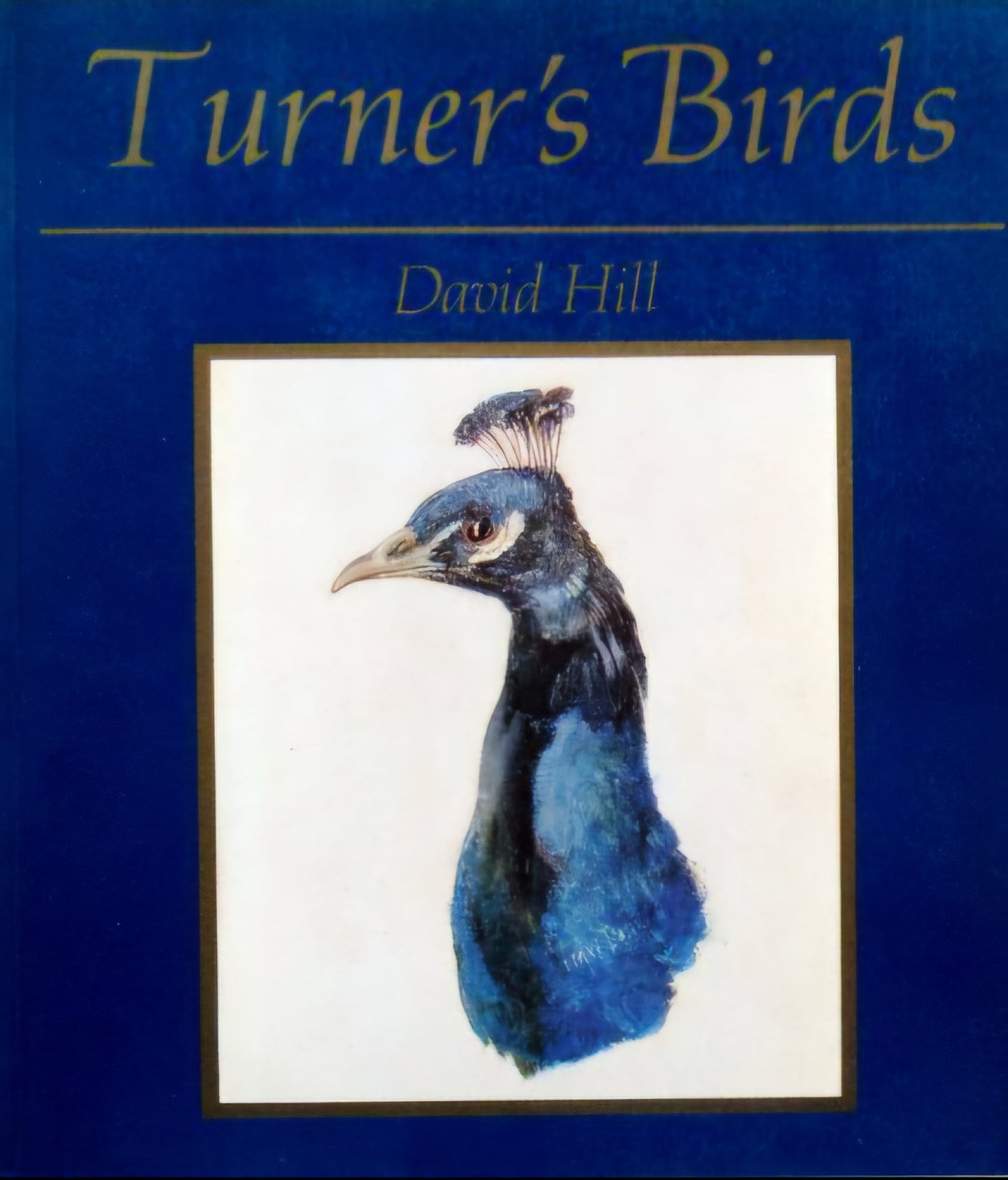 Turner's Birds: Bird studies from Farnley Hall