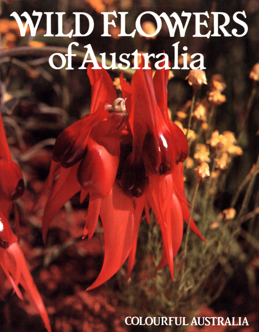 Wild Flowers of Australia
