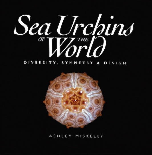 Sea Urchins of the World: Diversity, Symmetry & Design