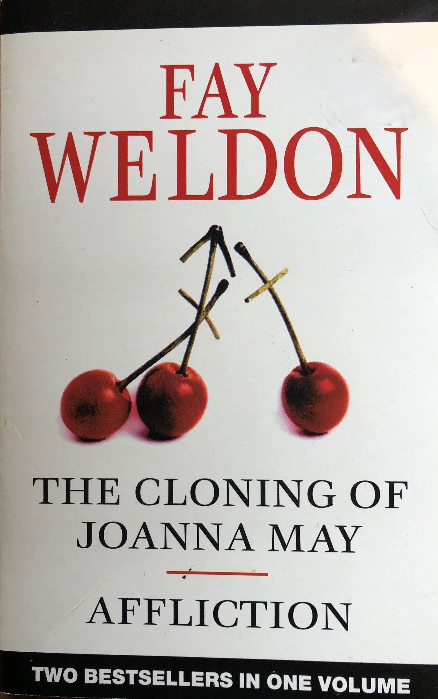 The Cloning of Joanna May / Affliction