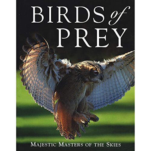 Birds of Prey: Majestic Masters of the Skies