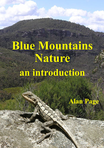 Blue Mountains Nature