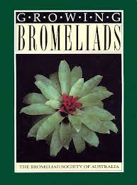 Growing Bromeliads