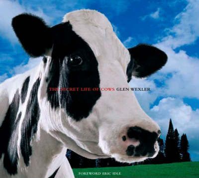 The Secret Life of Cows