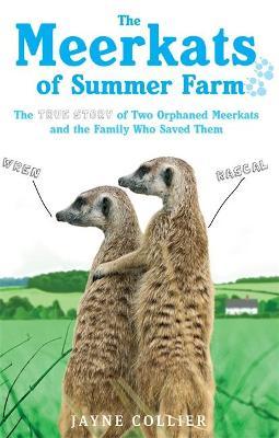 The Meerkats Of Summer Farm